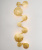 Flora Wall Light Deco