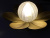 Magnolia decorative bra