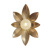 Magnolia decorative bra