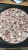 Circle Clows