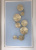 Flora Wall Light Deco