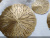 Light Deco